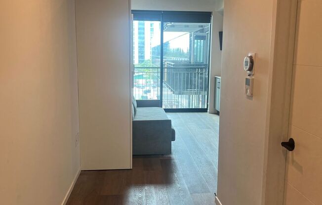 Studio, 1 bath, 320 sqft, $2,095, Unit 802