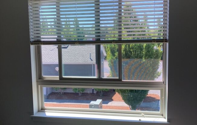 1 bed, 1 bath, 576 sqft, $1,499, Unit B-234