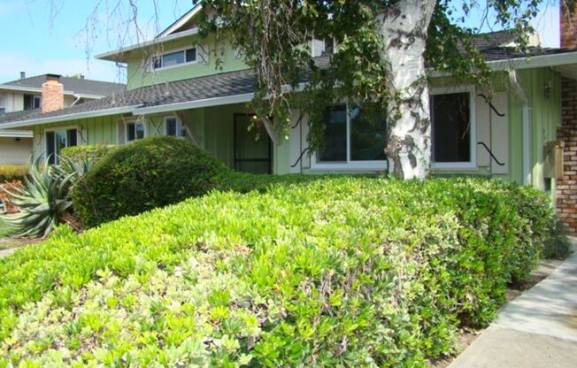 2023 Town &amp; Country Lane