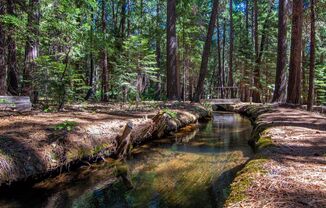 3 beds, 2 baths, $1,995