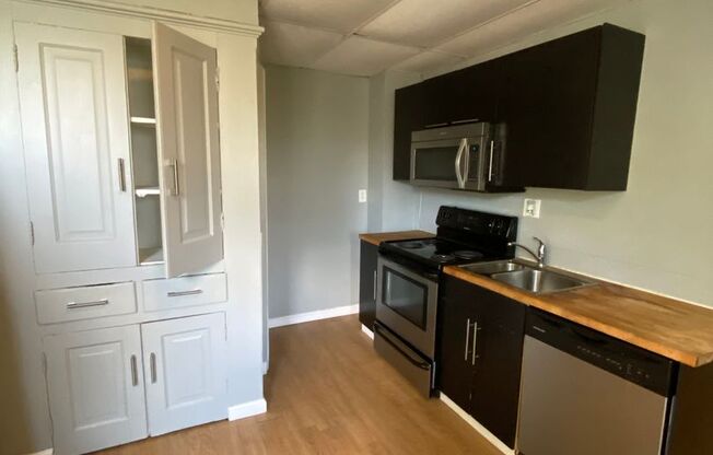 1 bed, 1 bath, $1,150, Unit Apt 1