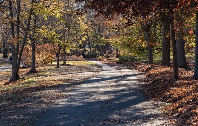 1 bed, 1 bath, 730 sqft, $2,600, Unit 301