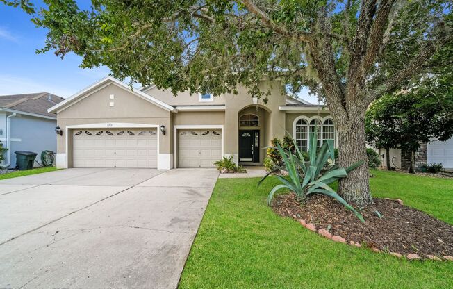 31212 ANNISTON DR