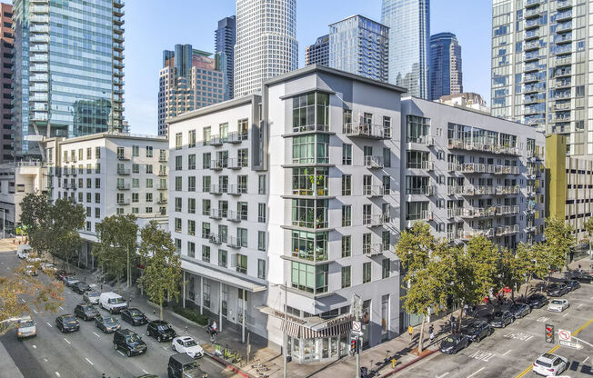 1 bed, 1 bath, 855 sqft, $2,500, Unit 343