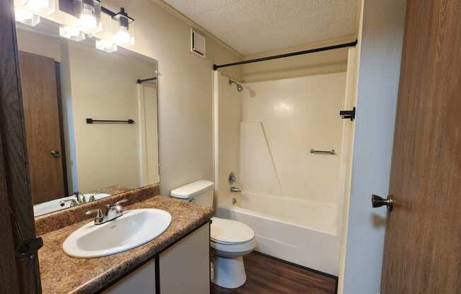 a bathroom with a sink and a toilet and a shower