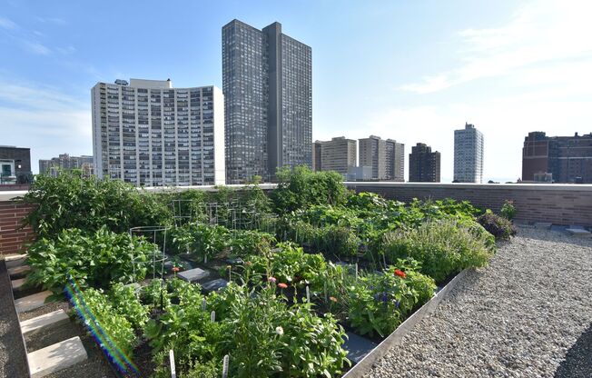 1 bed, 1 bath, 642 sqft, $3,100, Unit 3833-302