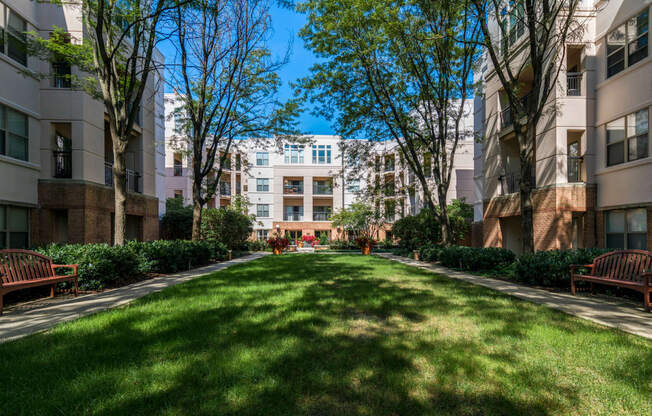 Expansive courtyard with grills