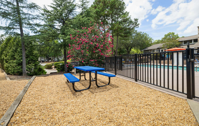 a blue picnic table and a black fence with the pool in the background