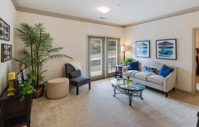 Living Room Featuring Plush Carpet & Lots Of Natural Light