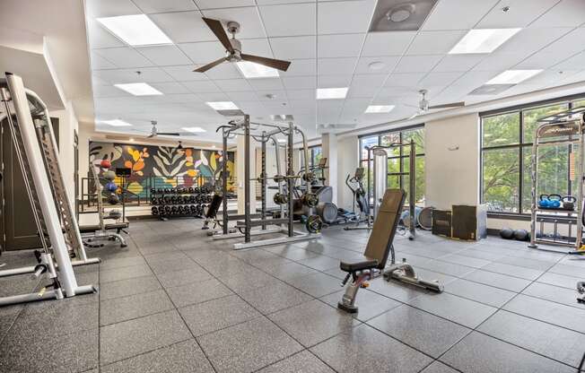 a gym with weights and cardio equipment in a building with large windows