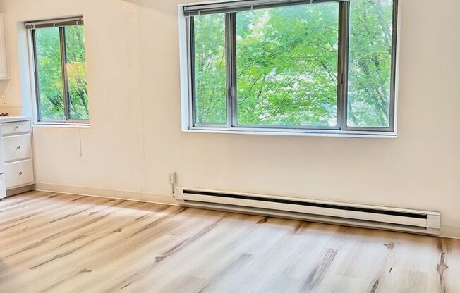 1 bed, 1 bath, 533 sqft, $1,375, Unit 403