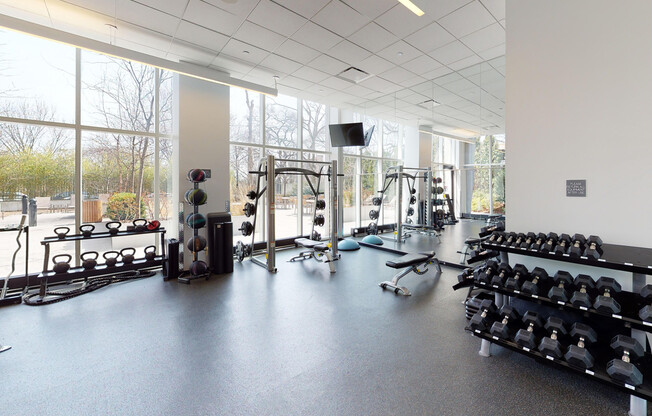 1 bed, 1 bath, $4,973, Unit 1502
