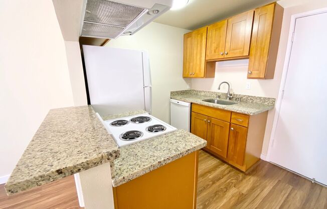 Studio, 1 bath, 308 sqft, $1,395, Unit 404