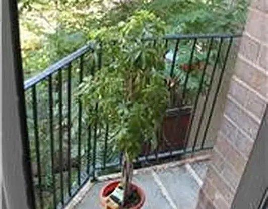 Studio, 1 bath, $4,200, Unit 3C
