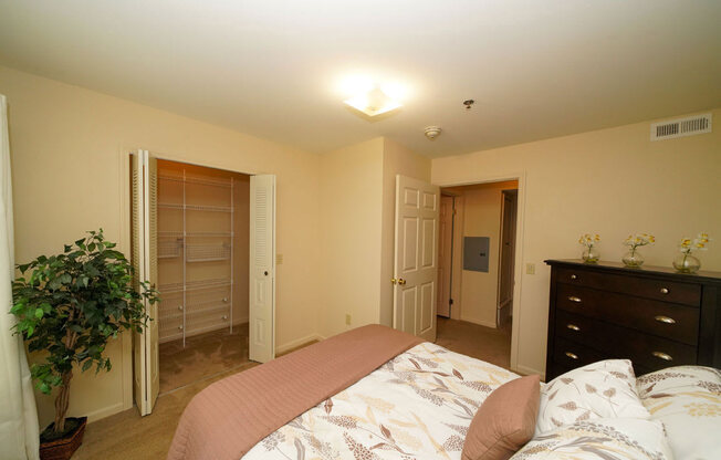 a bedroom with a walk-in closet with wardrobe organizers