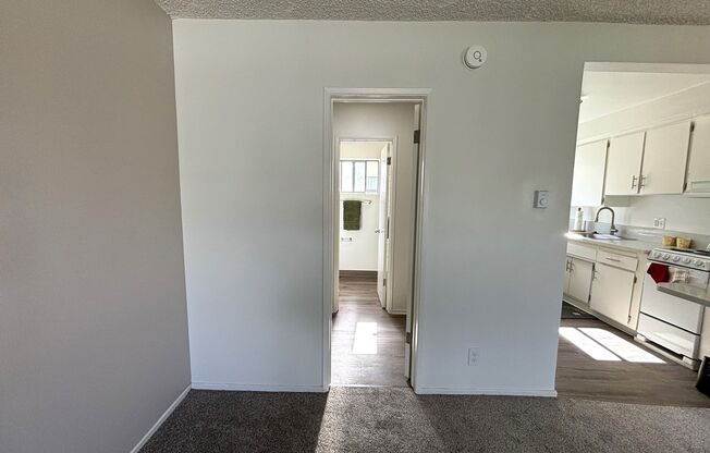 Studio, 1 bath, 345 sqft, $1,525, Unit 43