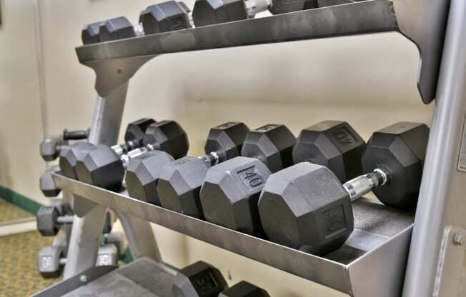 Free Weights In Gym at Hillsborough Apartments, Minnesota
