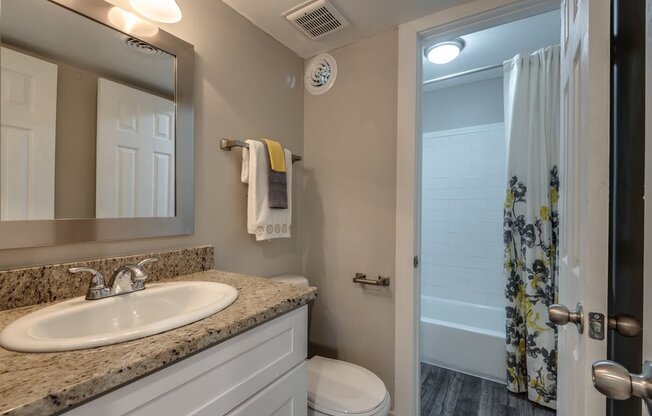 a bathroom with a sink and a toilet and a shower