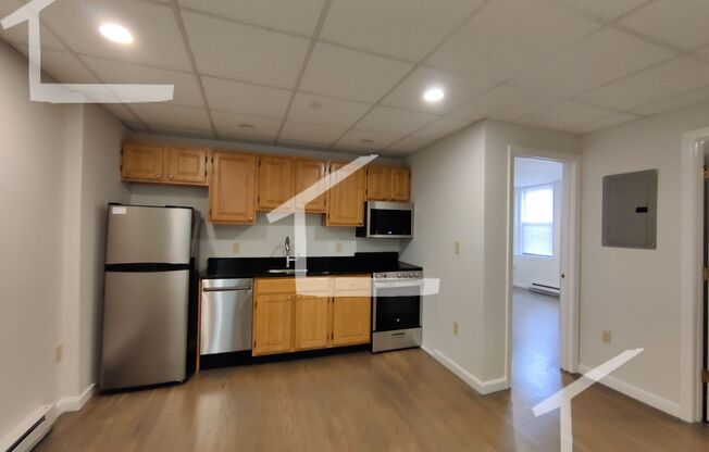 Avl NOW - Fully renovated garden level/ground floor 2BR