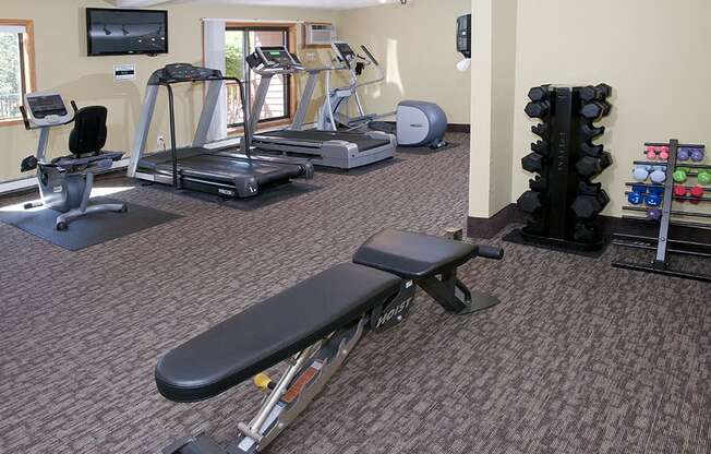 Fitness room with weights, elipticals, and treadmils