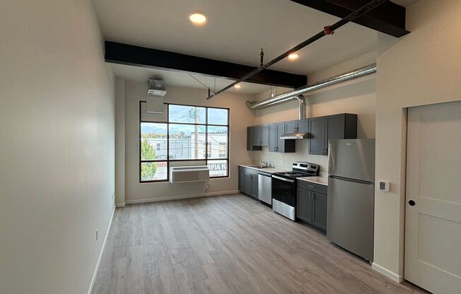 Studio, 1 bath, 398 sqft, $1,250, Unit 207