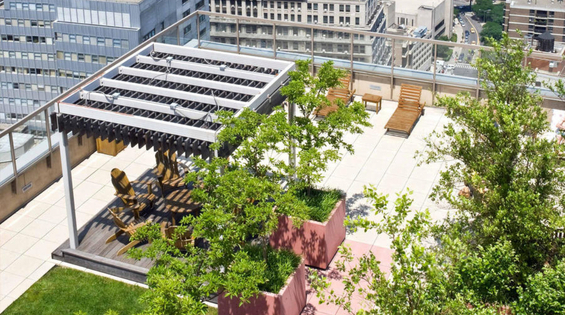 1 bed, 1 bath, $4,840, Unit 4905