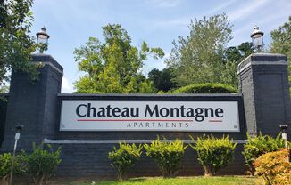 Chateau Montagne Apartments