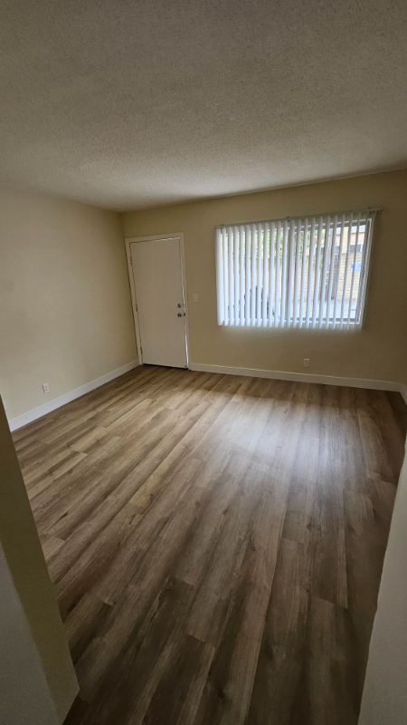 Studio, 1 bath, 330 sqft, $1,595