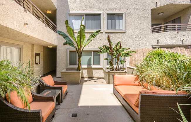A patio with a couch, chairs, and a potted plant.