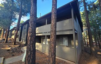 2 beds, 2 baths, $1,700