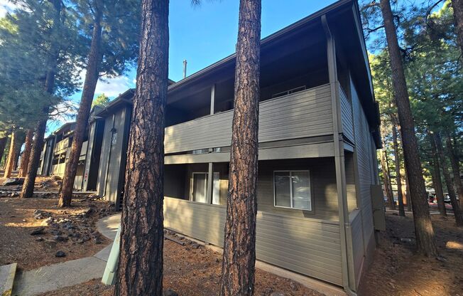 2 beds, 2 baths, $1,700