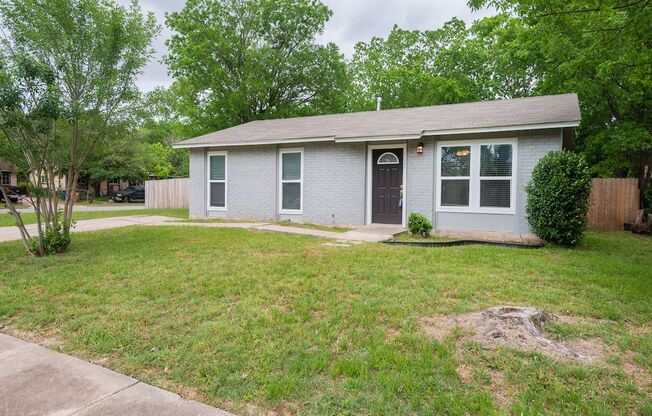 Renovated South Austin Corner Lot - Move In Ready!