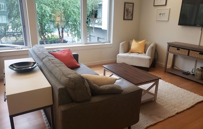 Furnished Condo in Overlook Neighborhood!