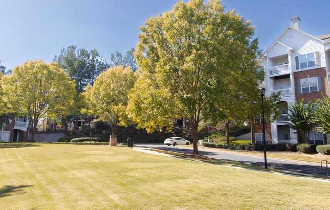 A tree with yellow leaves is in the foreground of a grassy area.