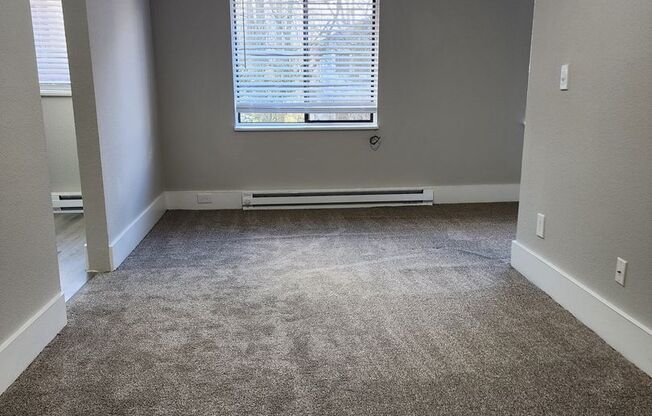 1 bed, 1 bath, 465 sqft, $1,300, Unit 411