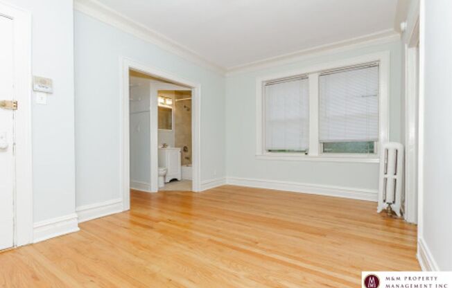 Studio, 1 bath, $1,095, Unit 1006 1/2 16