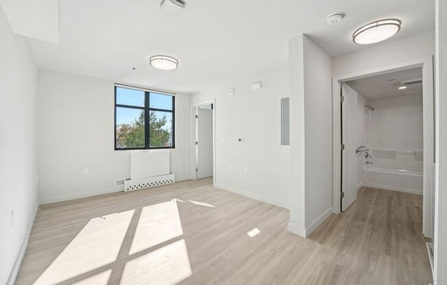 1 bed, 1 bath, 547 sqft, $2,650, Unit 210