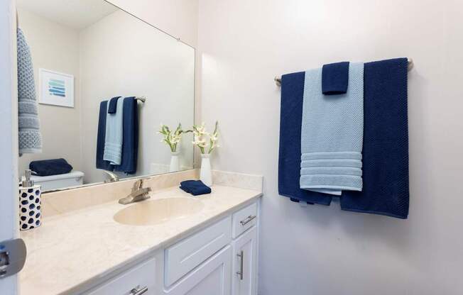 A bathroom with a sink, mirror, and towel rack.