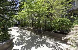 Resident Courtyard Area with tables and chairs for lounging and trees in the background at Illumina Apartment Homes, Seattle, 98102