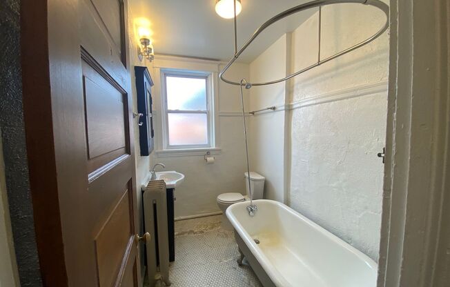 Studio, 1 bath, 180 sqft, $785, Unit 107