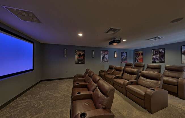 Movie Theatre  at The Monroe Apartment Homes, Florida, 32303
