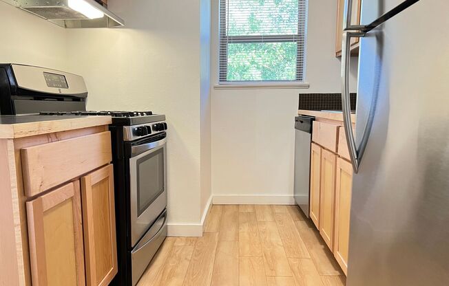 1 bed, 1 bath, 530 sqft, $1,349, Unit PPLD-207