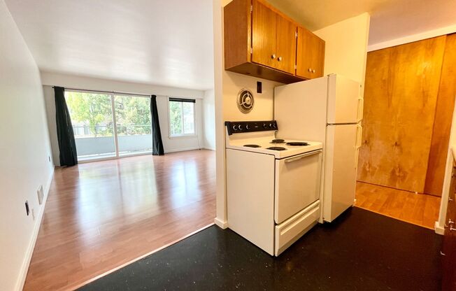 Studio, 1 bath, 464 sqft, $1,475, Unit 209