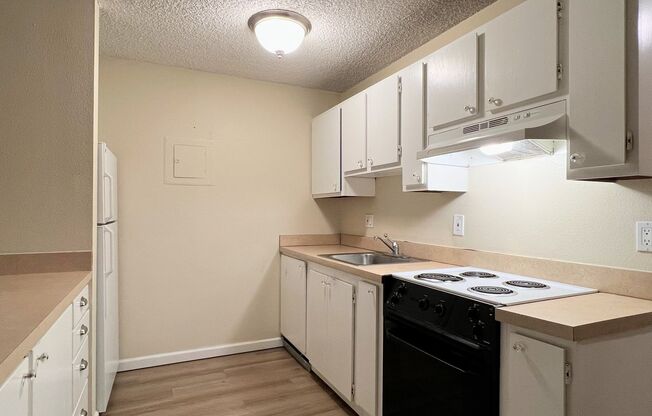 Studio, 1 bath, 495 sqft, $1,125, Unit 3