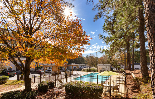 our apartments offer a swimming pool