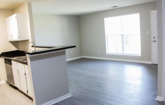 1 bed, 1 bath, 736 sqft, $999