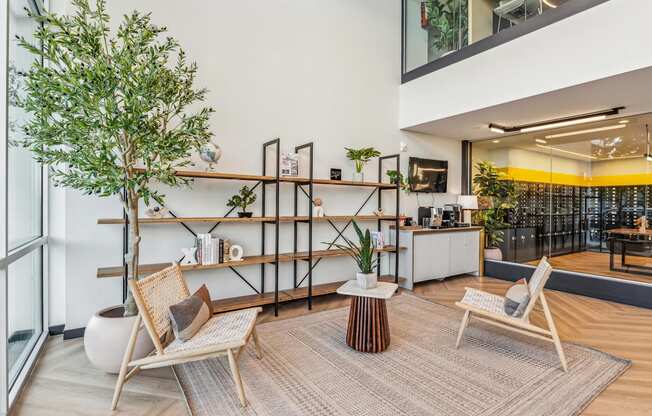 A modern living room with a tree, two chairs, and a rug.