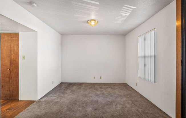 Studio, 1 bath, 495 sqft, $799, Unit 150