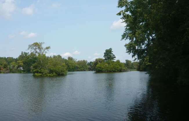 Huron River in Ann Arbor with green trees surrounding