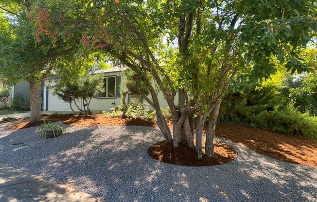 Beautiful Boulder Ranch Style Home with Large Lot for Lease!